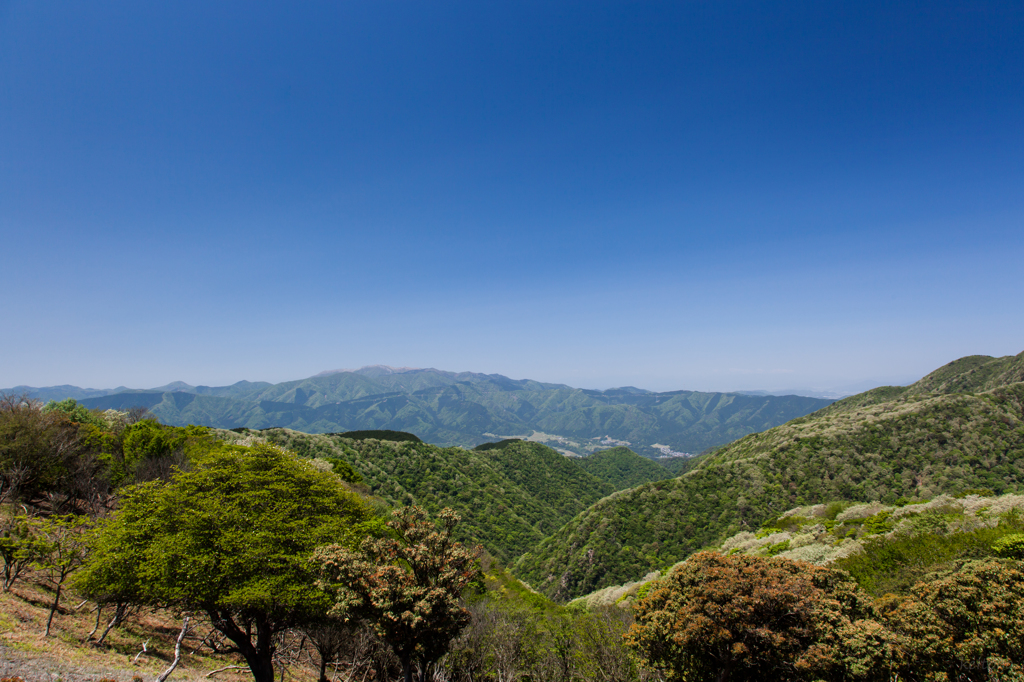 view