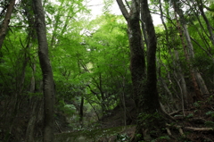 養老雑景