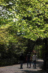 ひかり浴びる午後の休日