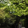 ひかり浴びる午後の休日