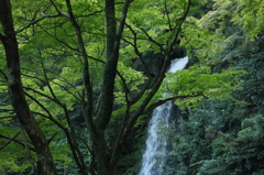 養老雑景