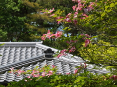 彩るいらか
