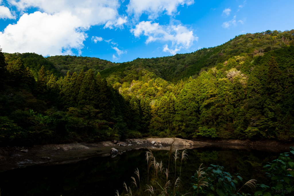 光湛え