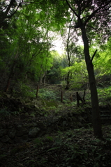 養老雑景