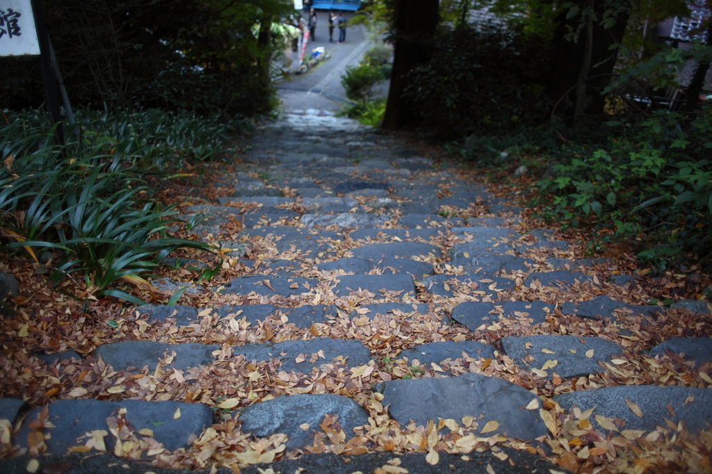 さくっ、さくっ♪