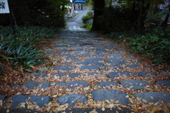 さくっ、さくっ♪