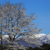 能郷白山