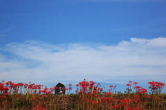 お地蔵さんと彼岸花