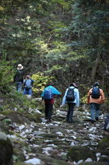 朴葉が誘う中山道