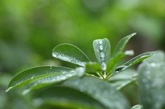 梅雨の日は…