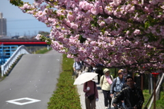 ゆっくりと歩く日曜日