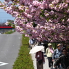 ゆっくりと歩く日曜日