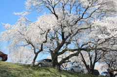 小休止。