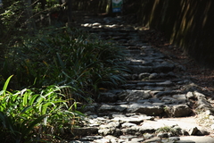 ふぅ～、ゆっくり登るとしよう