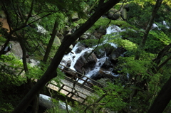 養老雑景