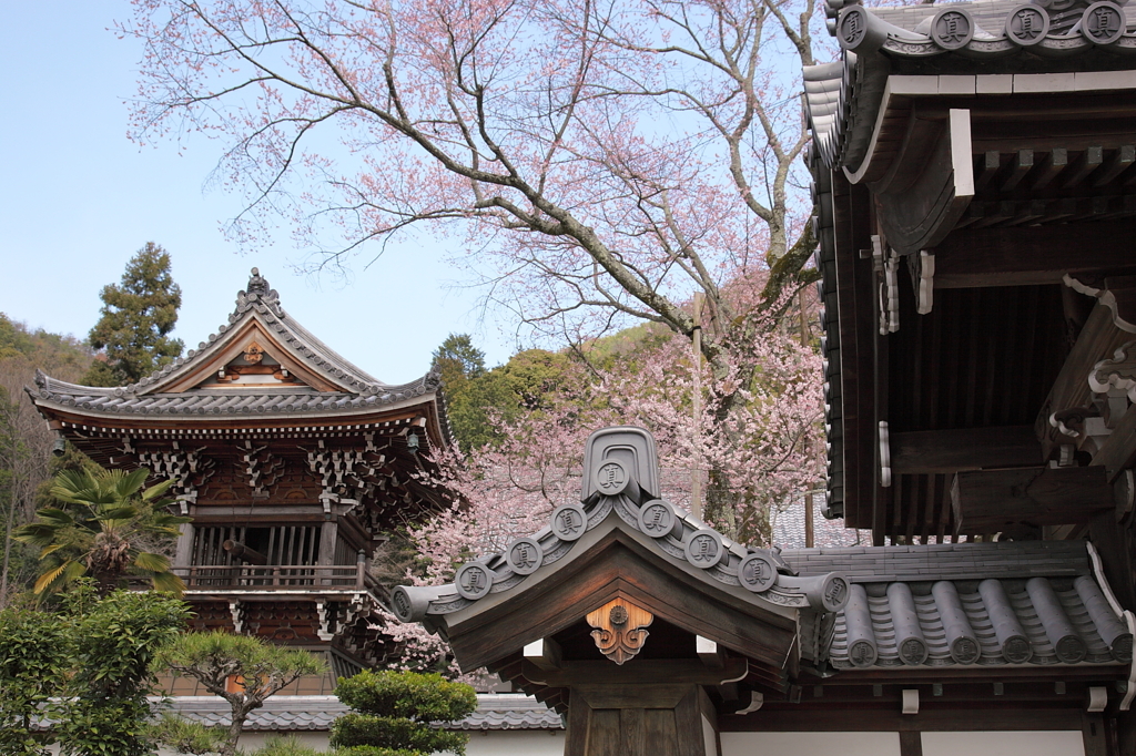 真禅寺
