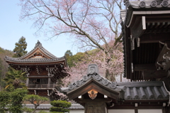 真禅寺