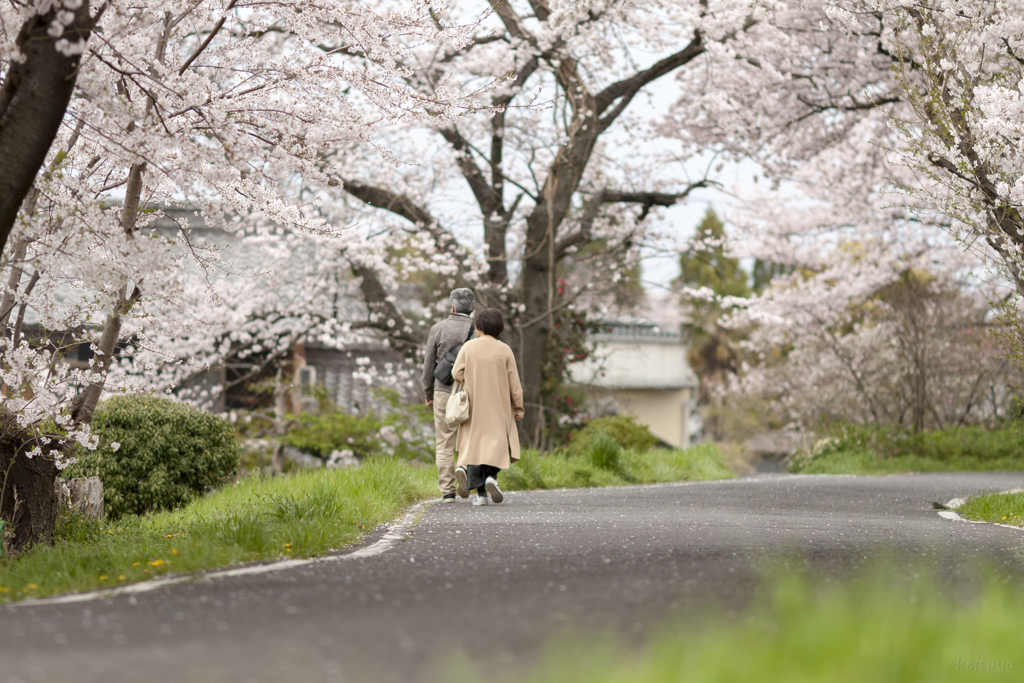 花道を　ずっと一緒に。