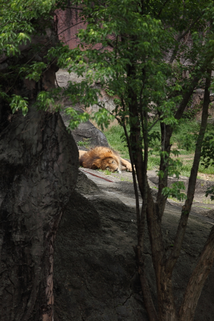 休日の過ごし方