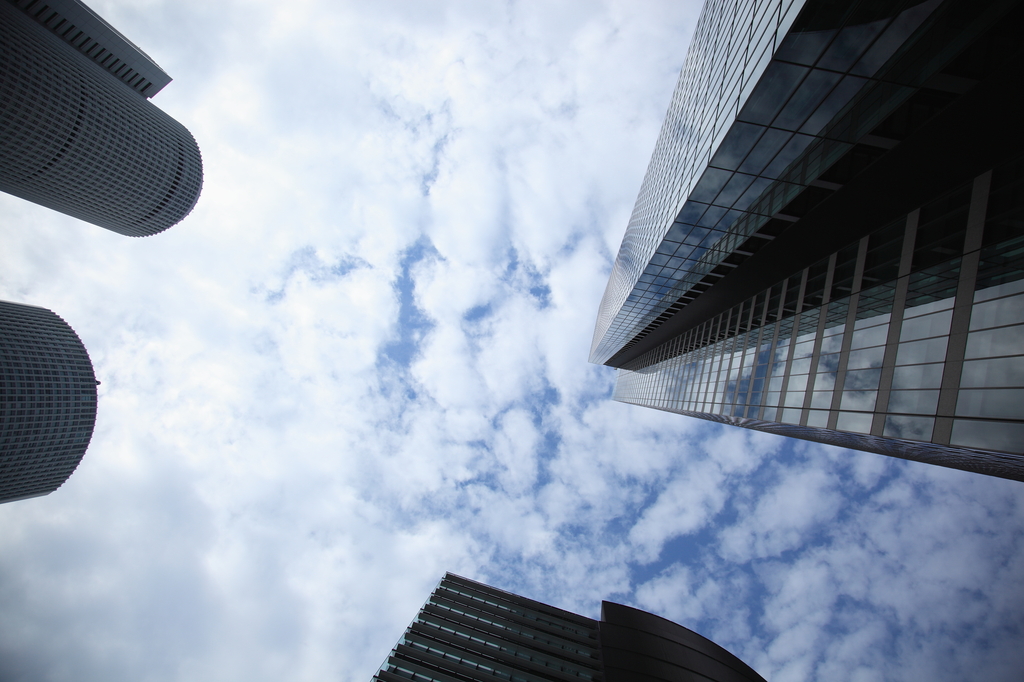 競う…更に高く