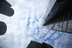 競う…更に高く