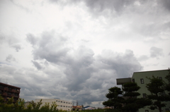 なんとなく夏　「波乱の予感」