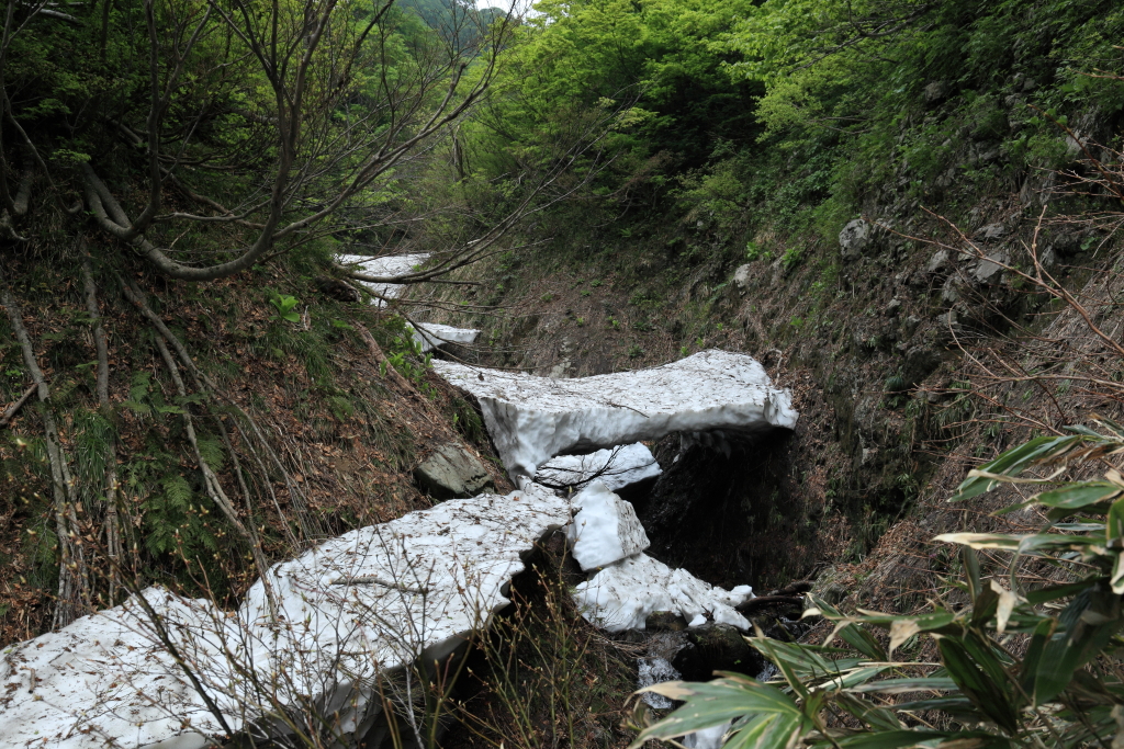 雪の橋