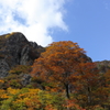 秋がやって来る