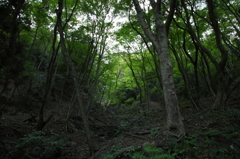 養老雑景