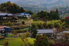 春夏秋…冬