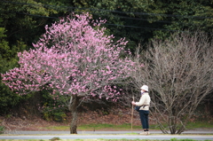 春の息吹を求めて。