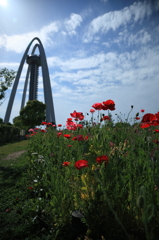 SunSun午後