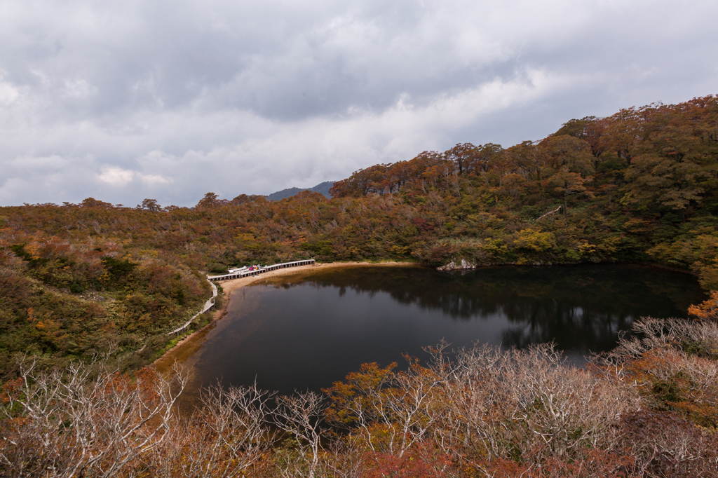 天気予報って奴は…