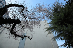 Urban small landscape