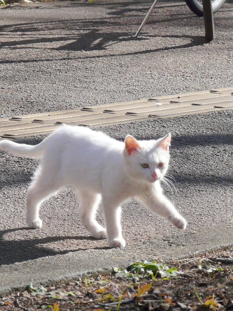 おでかけ♪