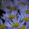 P1080375