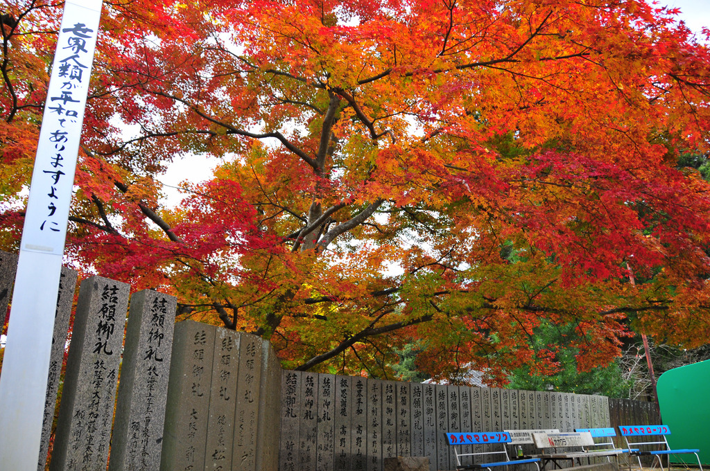 大窪寺