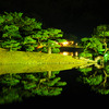 栗林公園　ライトアップ