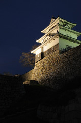 丸亀城 ライトアップ