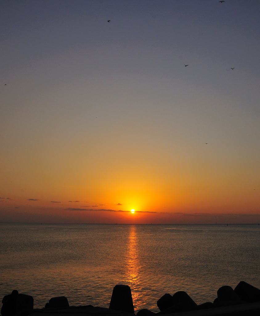 徳島の朝日