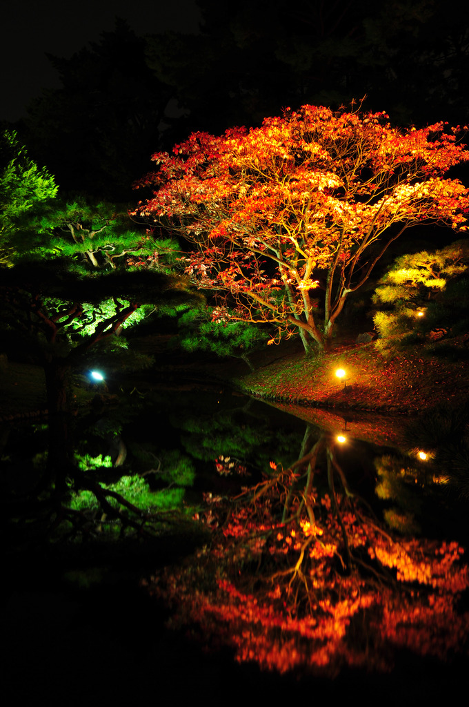 栗林公園　ライトアップ