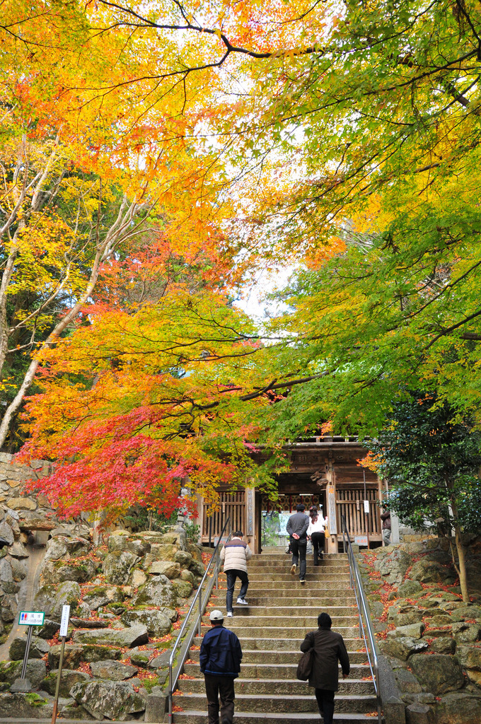 大窪寺