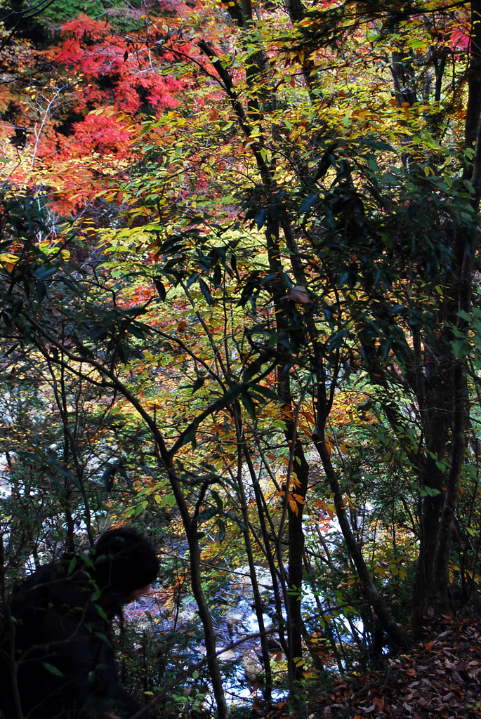 DSC_1240