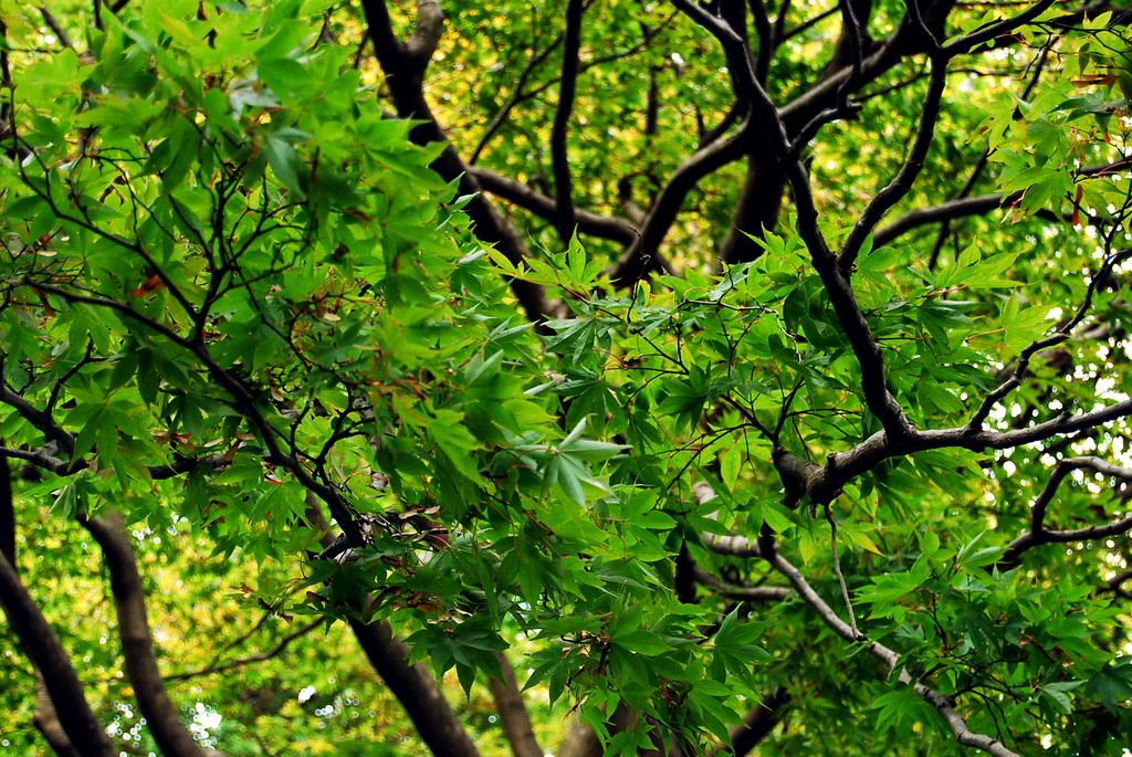 DSC_0825