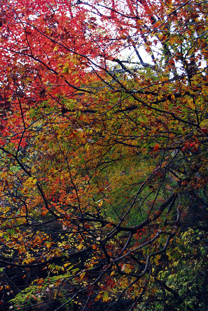 DSC_1257