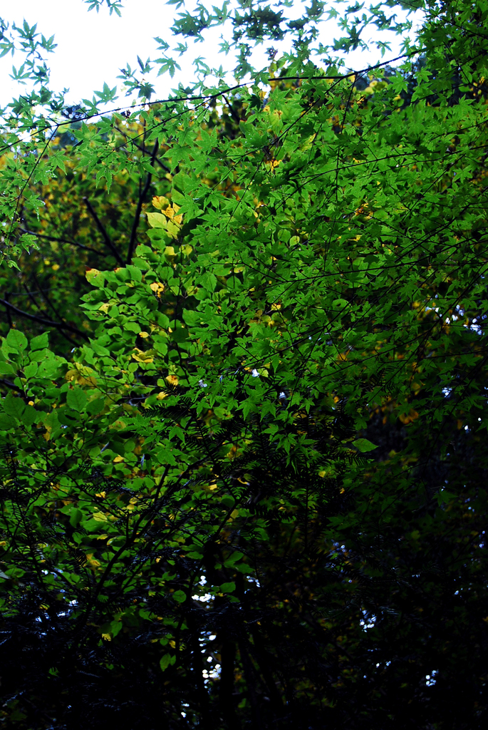 DSC_1188
