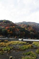 嵐山