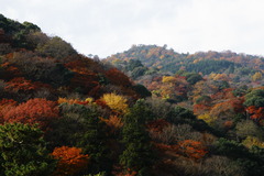 嵐山