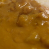 カツが見えないカツカレー