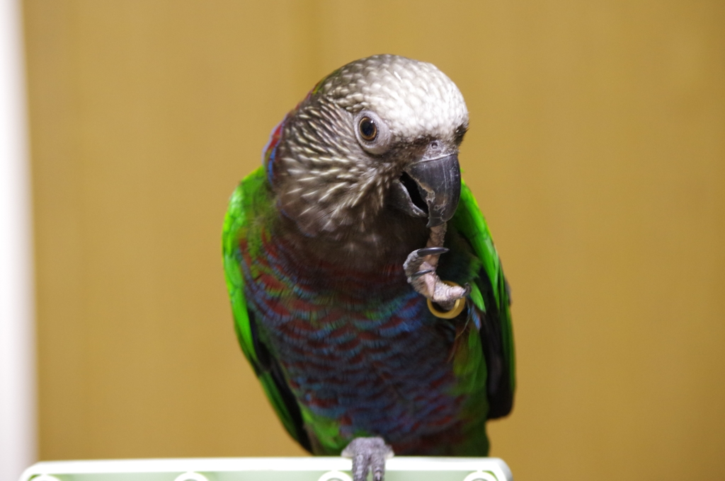 左足かみかみ♪